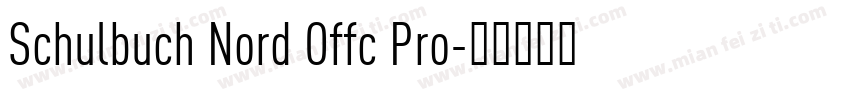 Schulbuch Nord Offc Pro字体转换